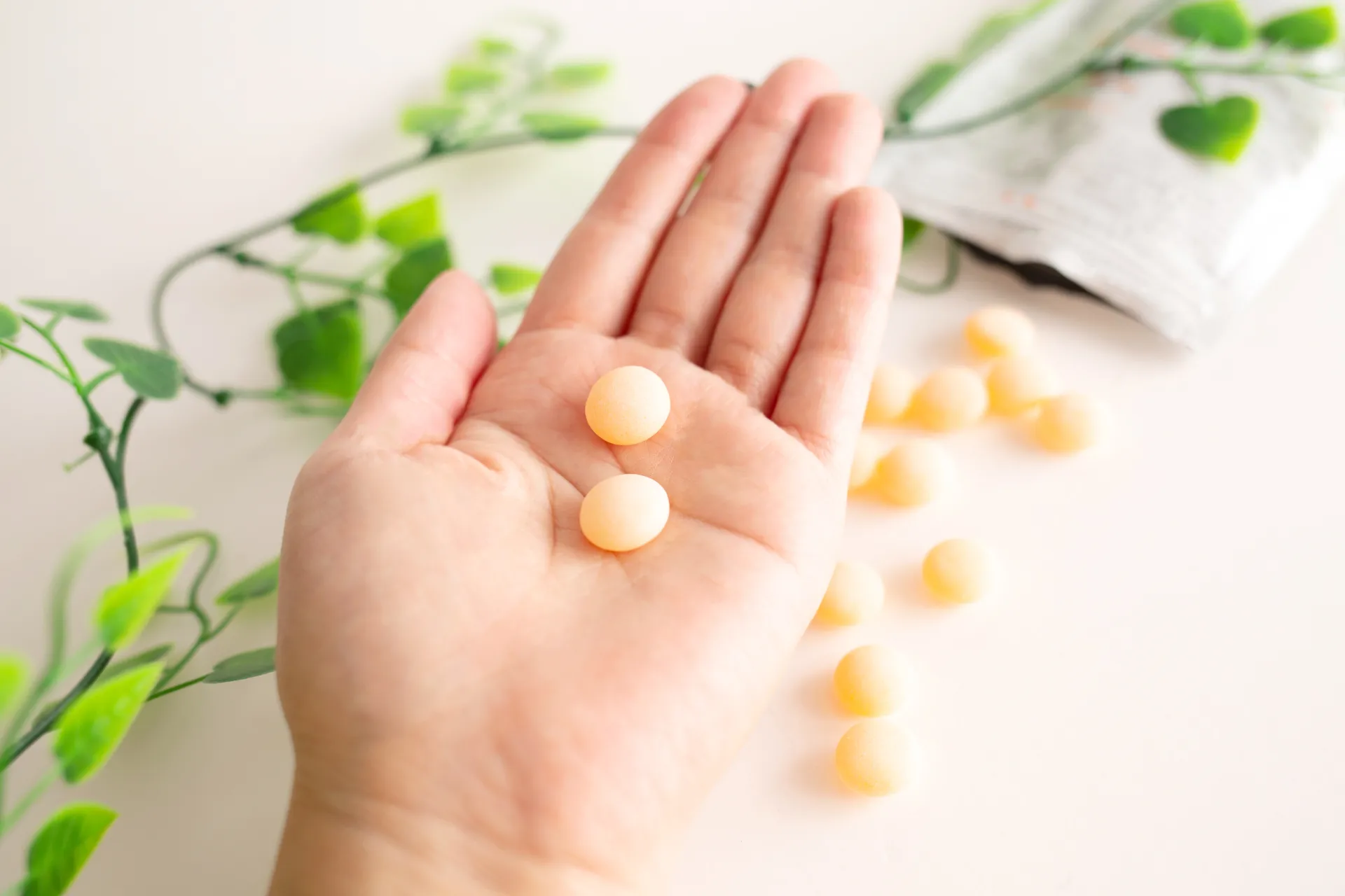 株式会社PLAN chiho